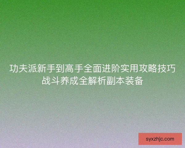 功夫派新手到高手全面进阶实用攻略技巧战斗养成全解析副本装备