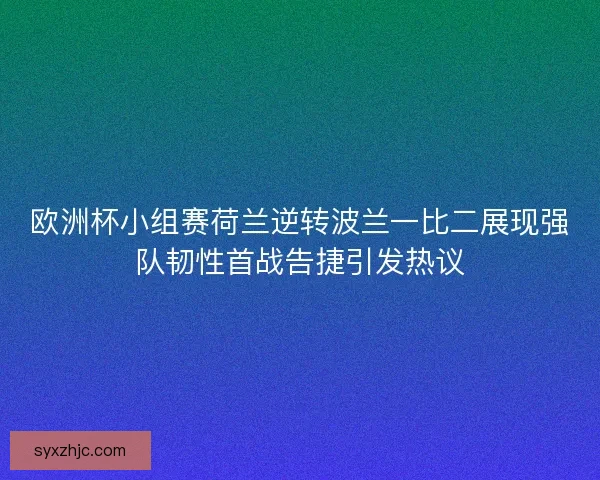 欧洲杯小组赛荷兰逆转波兰一比二展现强队韧性首战告捷引发热议 欧洲杯小组赛荷兰逆转波兰一比二展现强队韧性首战告捷引发热议
