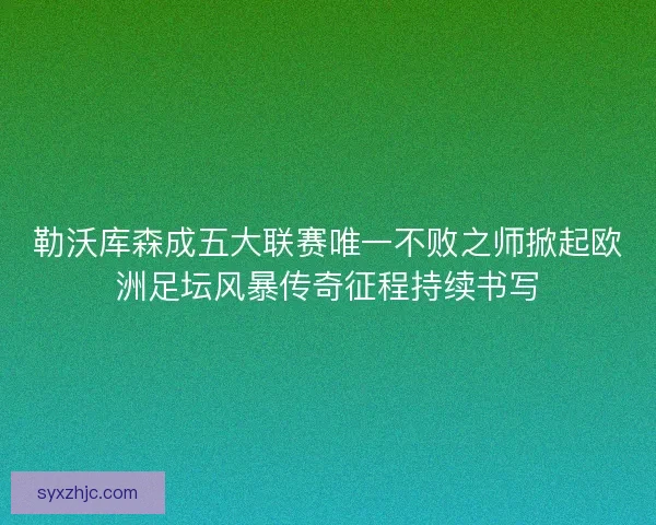 勒沃库森成五大联赛唯一不败之师掀起欧洲足坛风暴传奇征程持续书写